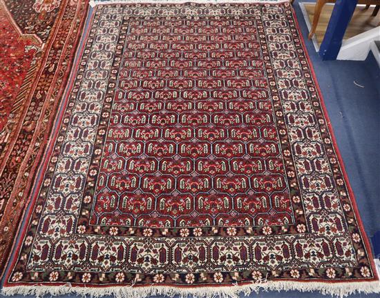 A Pakistan design red ground palmette design rug 210 x 150cm